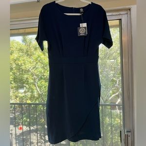 New With Tags, Form Fitting Dress